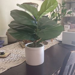 Fake Plant For Decor