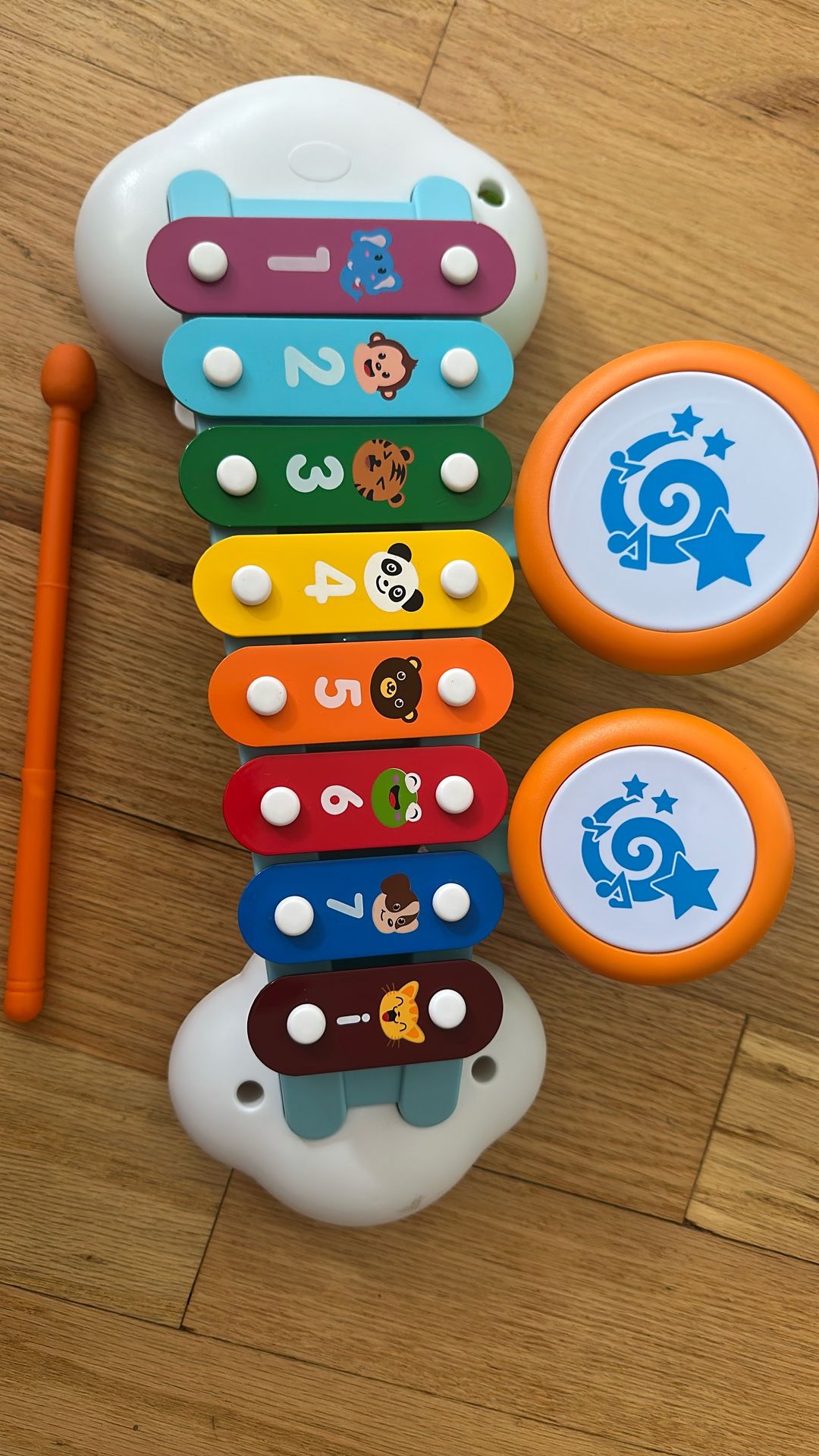 Children’s Musical Instrument