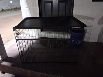 Lucky dog kennel