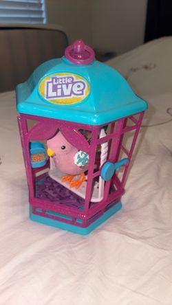 Little Live Bird
