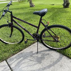 26 Inch Bike 