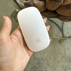 Apple Magic Mouse Multi Touch Surface