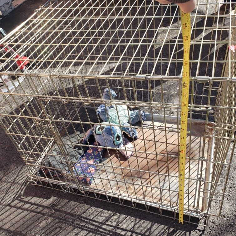 Dog Kennel