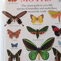 Butterflies of the World  Book 