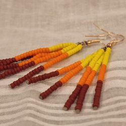 Ombre Fringe Earrings