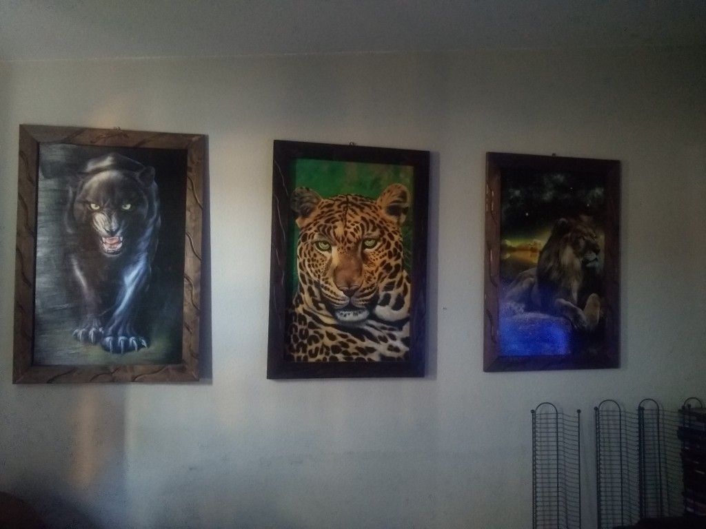 Wildlife Pictures Frames