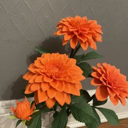 Dahlia 