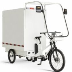 Electric Cargo Trike 