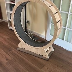 Cat Excercise Wheel