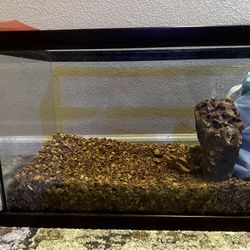 20gallon Long With Fluval 107 Filter And 15lbs Of Ohko Stone
