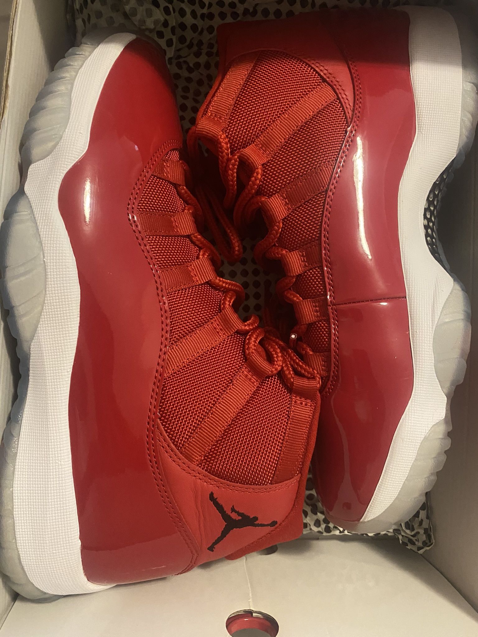 win like 96 Jordan 11