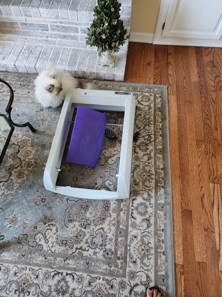 Electric Self Cleaning Cat Litter Box