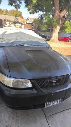 2004 Ford Mustang