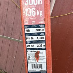 Werner 10 Foot Ladder 