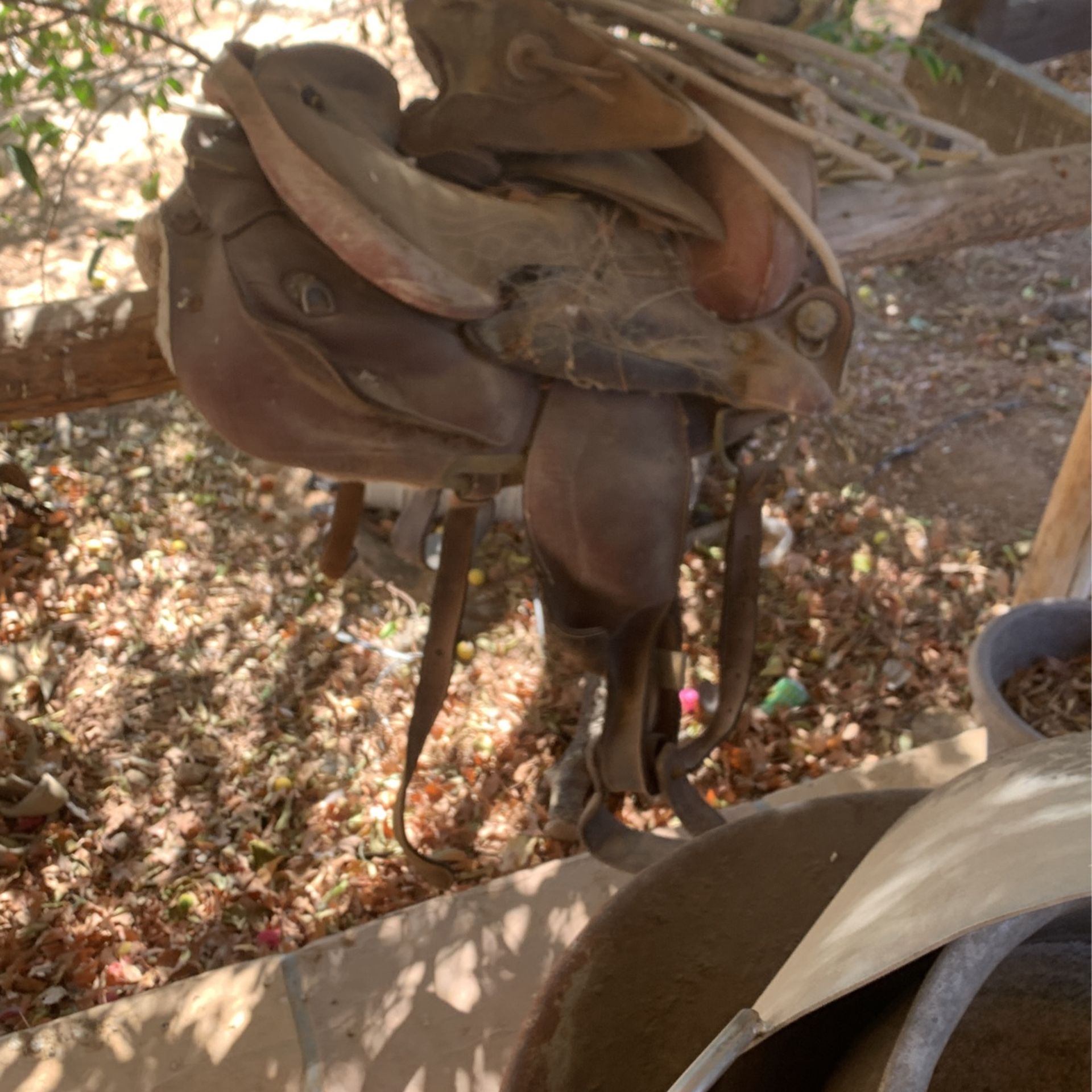 Old Saddles