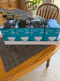 EcoSmart 90 watt daylight flood lights