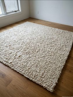 West elm 8x10 tufted wool rug