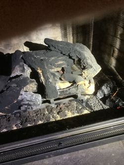 Gas/propane Fireplace Insert