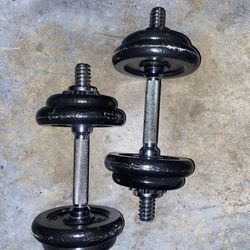 2 Barbell/dumbbells 30lbs Weight