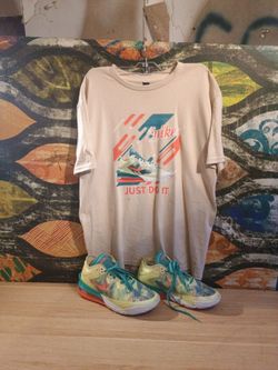 Nike Just Do It Graphic T-Shirt and Nike LeBron James shoes