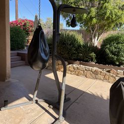 Free Everlast Punching Bag Stand 