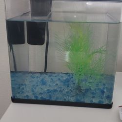 1.5 Gallon Aquarium 