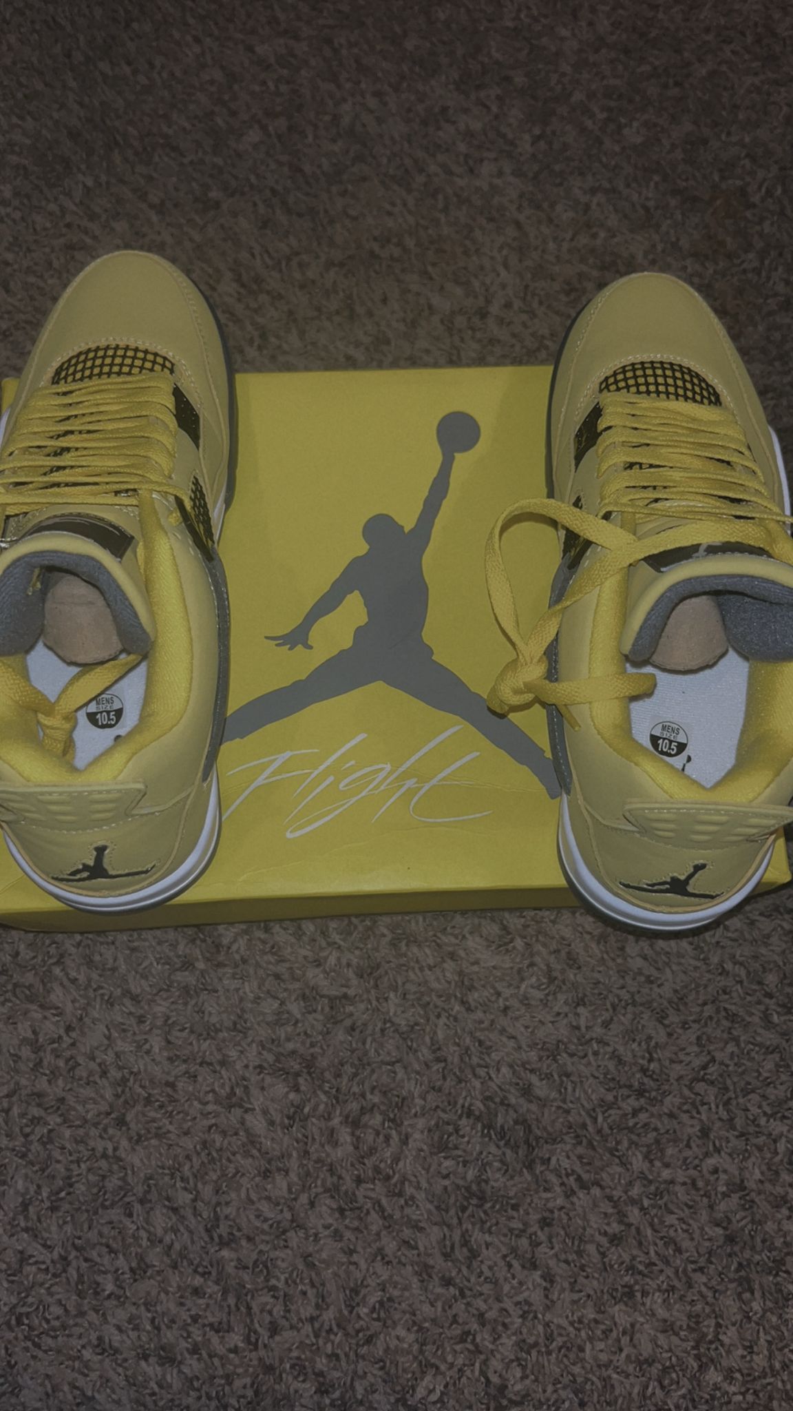 Jordan 4 Yellow 10.5