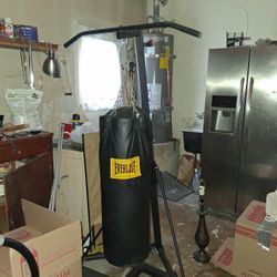 Everlast Punching Bag 