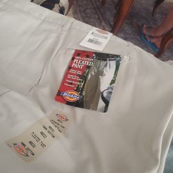 Dickies Pant