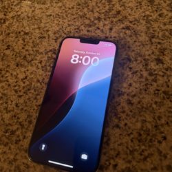 iPhone 13 Pro Max Grey With Case