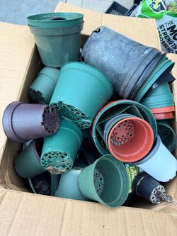 Free nursery pot