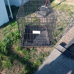 Dog Pen