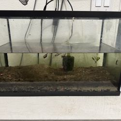 10 Gallon Fish Tank