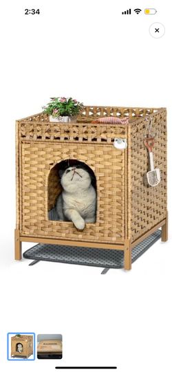 Cat Litter Box Enclosure
