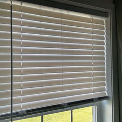 White Blinds