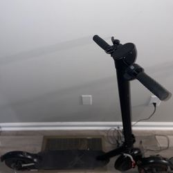 Electric Scooters 