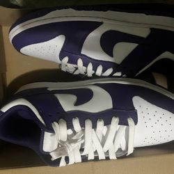 championship purple nike dunk low 