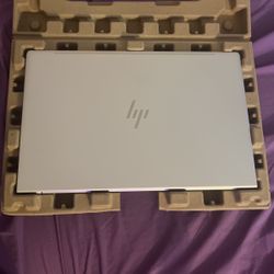 HP Elitebook 650 G10 15.6  11 Pro