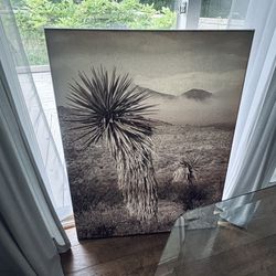 Black and White Canvas Art Photograph
