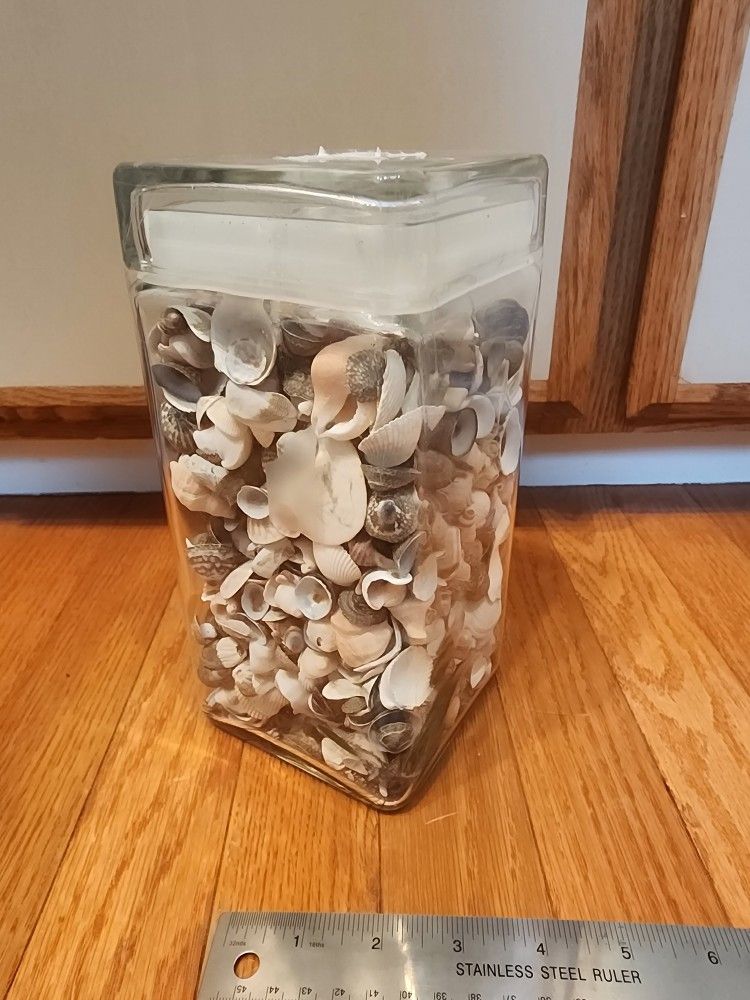 Large Glass Jar Of Seashells