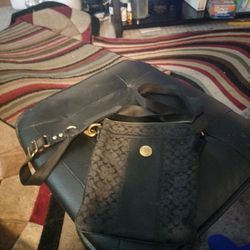 Coach Purses