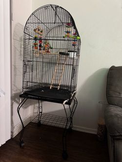 Birdcage
