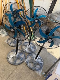 Fan
