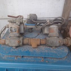 One inch brass magnet Va)vea