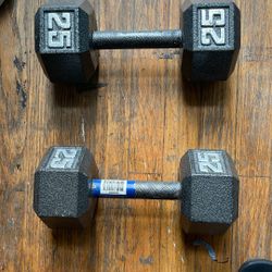 25 dumbbell weights