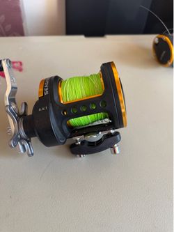 Daiwa seagate 35