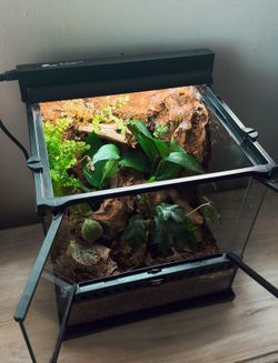 Bioactive terrarium Custom Built (Lid included)