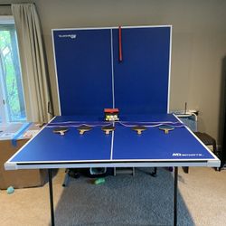 Ping Pong Table