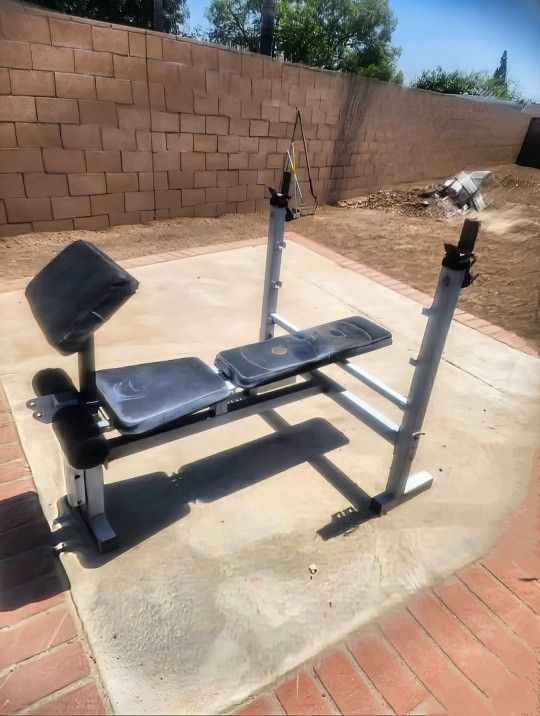 Olympic Bench Press
