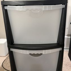 2 Bin Storage Organizer 